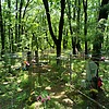Синько Иван Григорьевич
