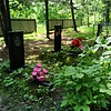 Зверева Светлана Александровна