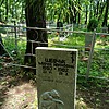 Шевчук Мария Ивановна