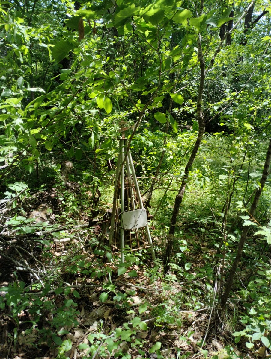 Сторожук Степан Дмитриевич