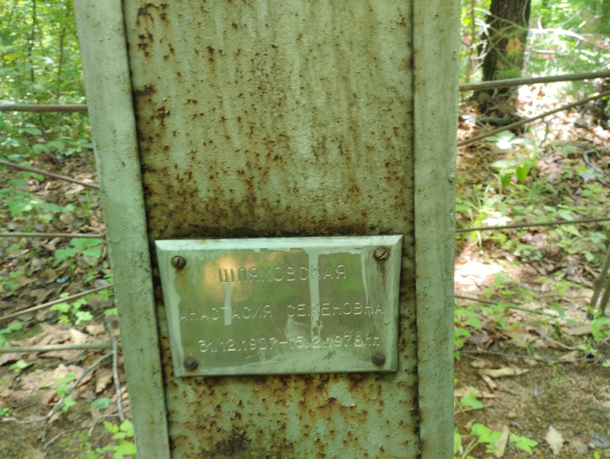 Шляховская Анастасия Семеновна