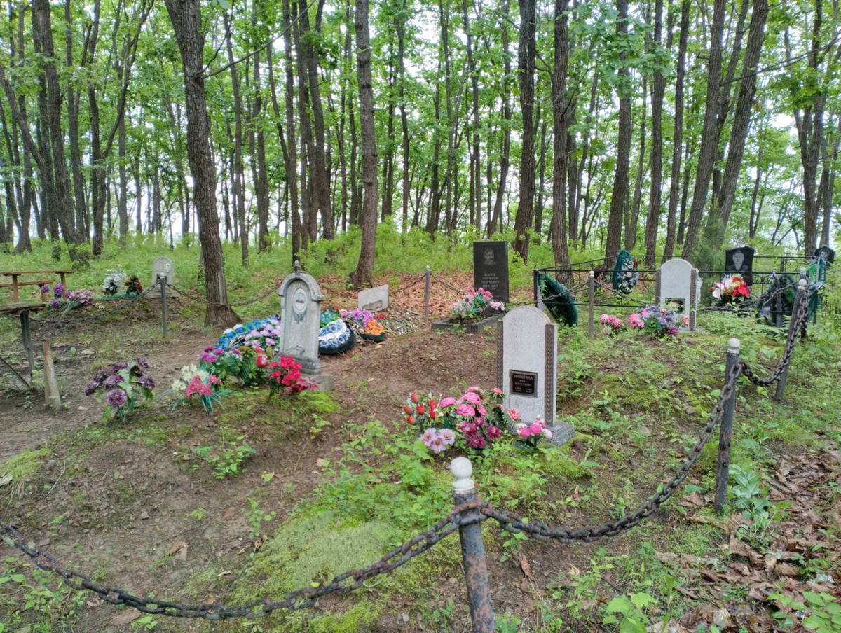 e1b03d5c-2c2a-4390-a094-8d143c3151cd Никитина Анна Алексеевна