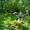 Немилостливый Григорий Григорьевич