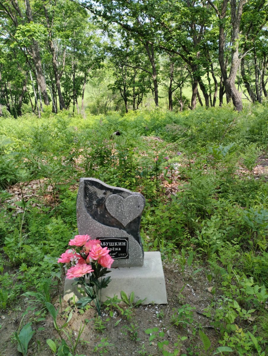 Абушкин Серёжа Неизвестно