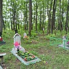 Жорник Николай Яковлевич