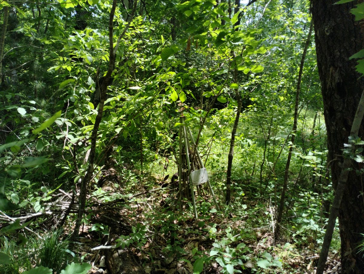 Сторожук Степан Дмитриевич