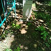 Неизвестно Неизвестно Неизвестно