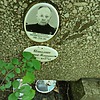Истомин Дмитрий Поликарпович