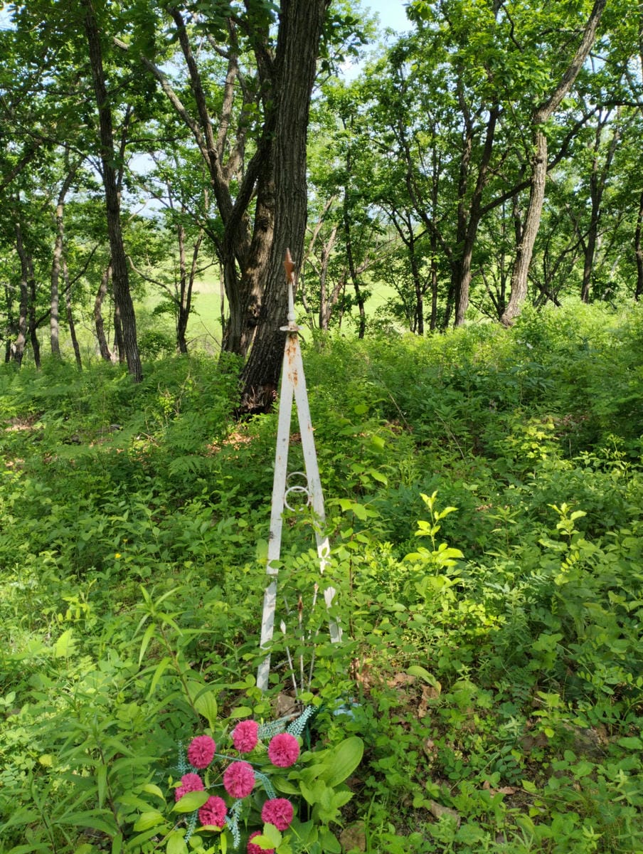 f65d17ed-e744-46b7-a2b1-c5c44efd447b Неизвестно Неизвестно Неизвестно