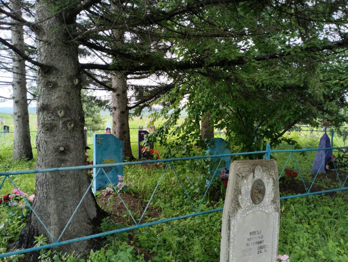 Швец Николай Алексеевич