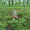 Мовчан Анисья Евдокимовна