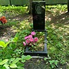 Зверева Светлана Александровна