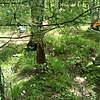 Бондарь Сергей Исидорович