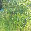Корнюшин Александр Илларионович