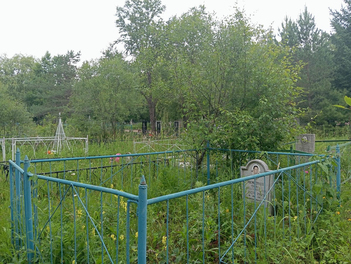 02b03ec7-a646-4255-9c1a-f804ea6519cc Меметова Фаина Владимировна