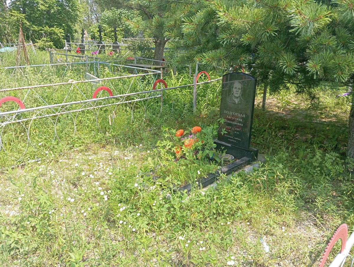 06e7b842-65b4-4668-a9ab-e1dfee6b8395 Подгорная Августина Николаевна