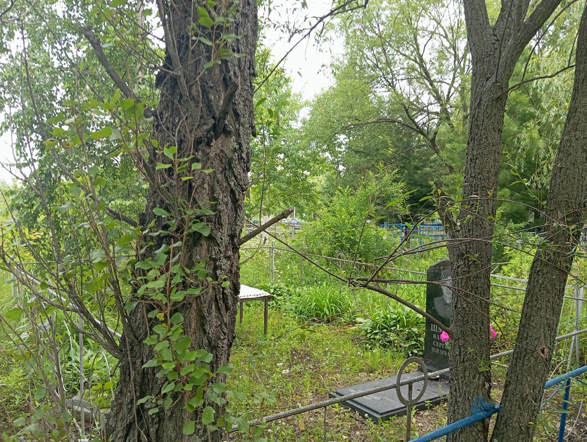 Шмырев Владимир Сергеевич