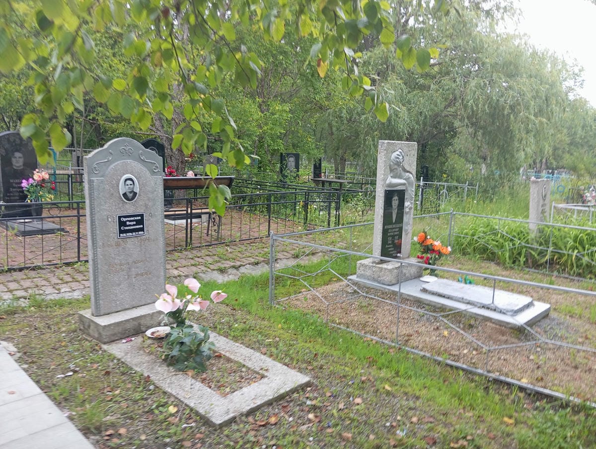 0b4352a3-7f05-45da-93a5-8d07a672b9b5 Орловская Вера Степановна