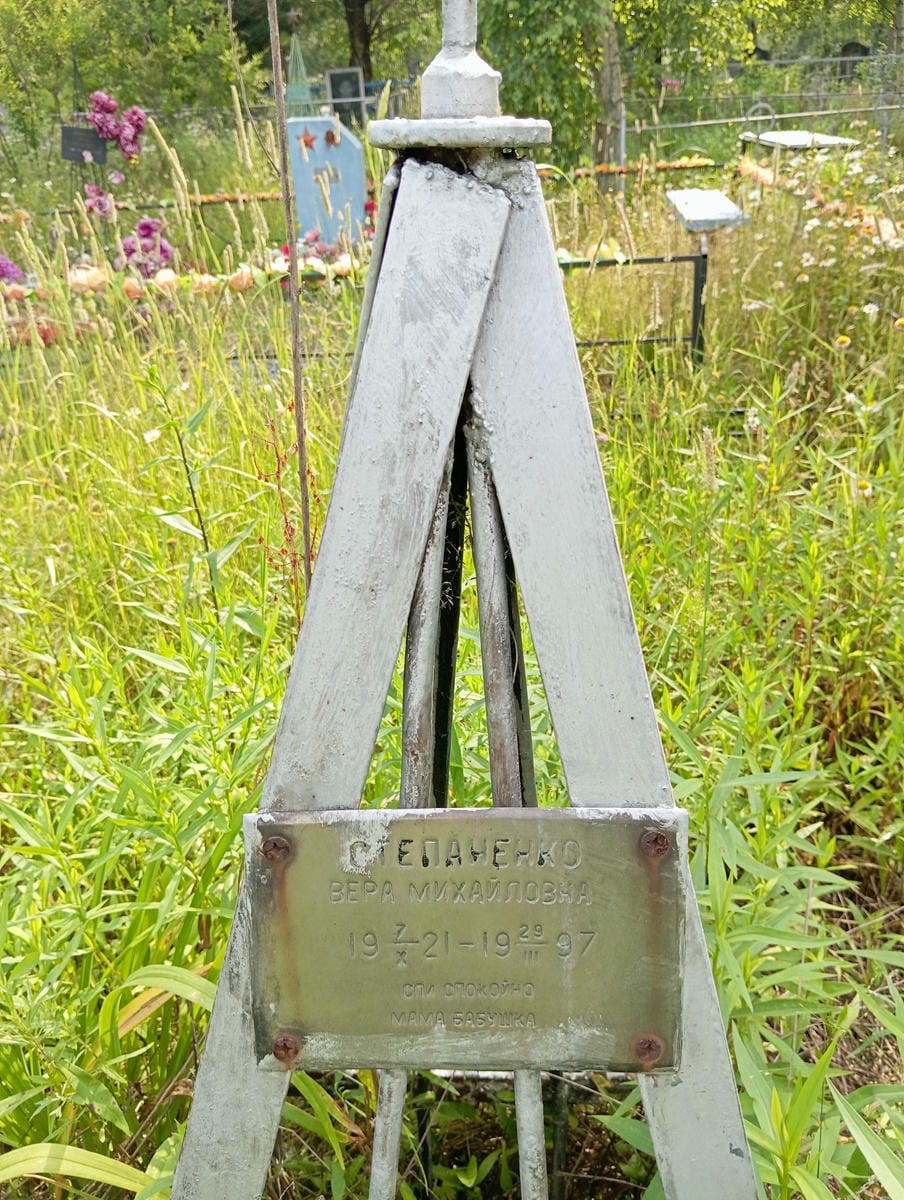 0f47c5b8-2700-450e-8477-99fb36d91823 Степаненко Вера Михайловна