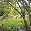 Цепелев Петр Иванович