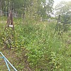 Иванов Петр Иванович