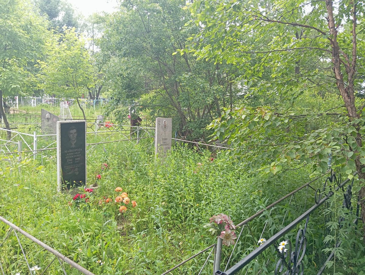 1e5ff664-9e82-4b6b-8833-cf413bfb9f3c Майборода Александр Федосеевич