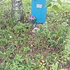 Петрукович Василий Степанович