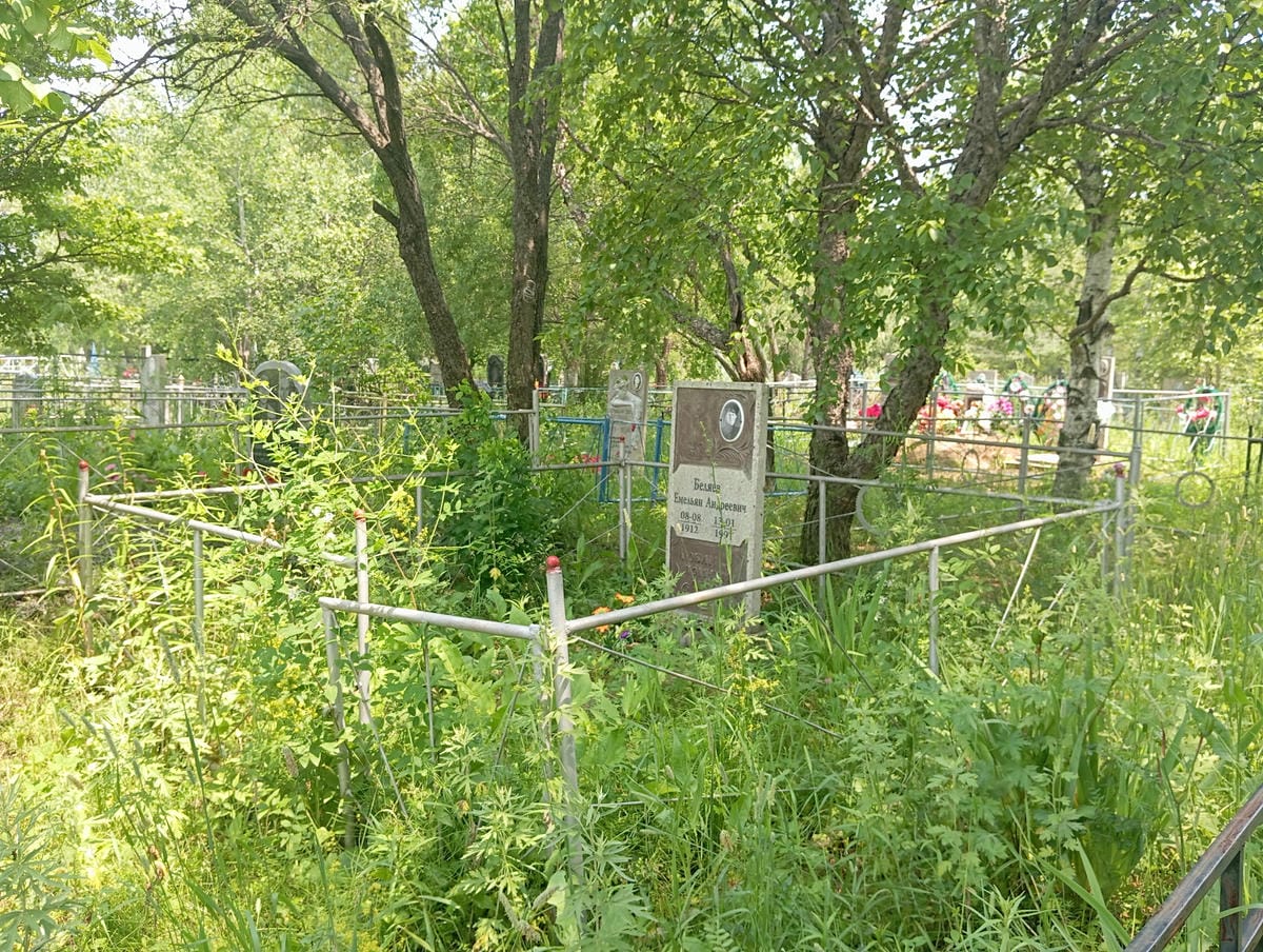 240e1d1d-a089-446d-87e2-e530d738b84f Беляев Емельян Андреевич