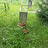Шапкин Виктор Иванович