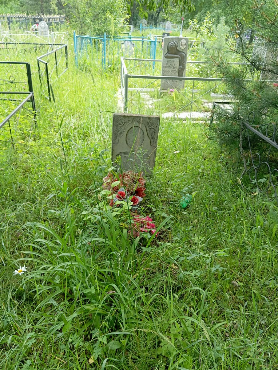 271c3c9c-58dd-481a-9164-ff5f54fa4c1a Шапкин Виктор Иванович