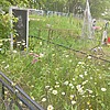 Размета Николай Владимирович