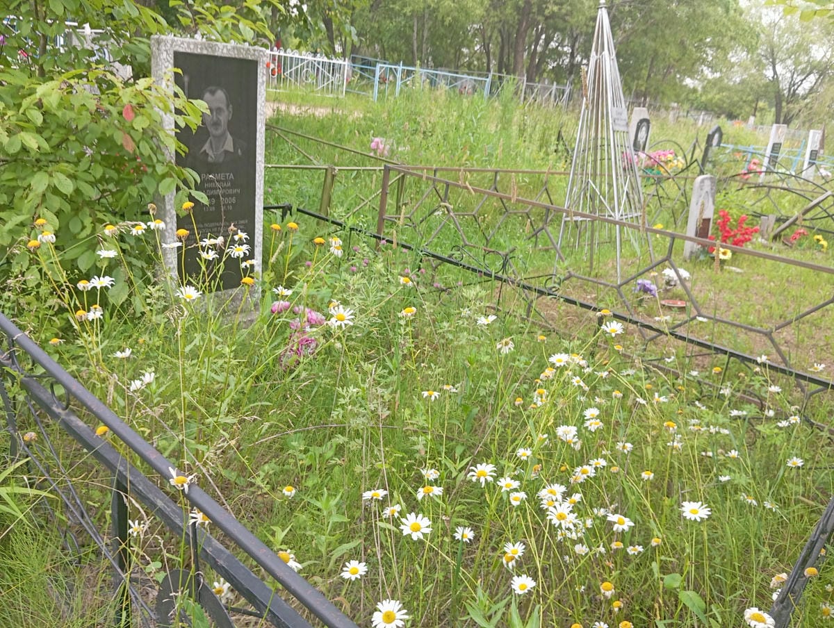 2a592bb6-35d9-4323-86b4-8d7c15226fa0 Размета Николай Владимирович