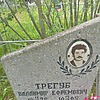 Трегуб Владимир Ефремович