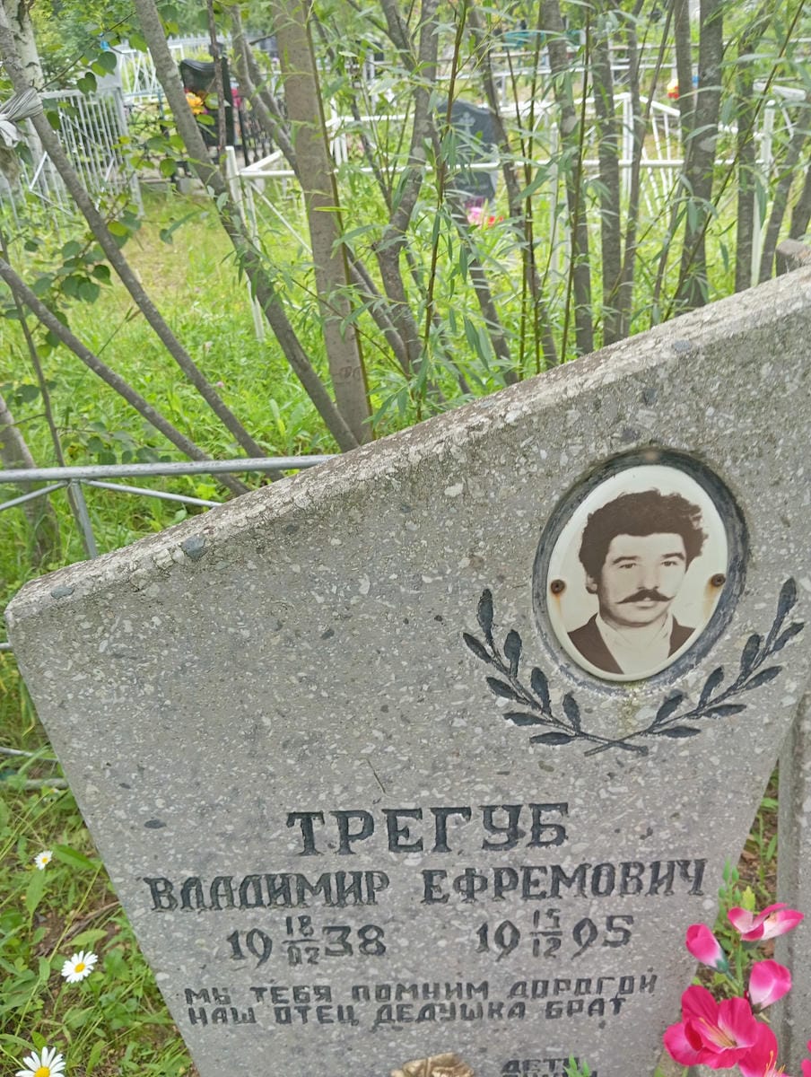 2cb1243c-2d82-415d-a980-08ba519a907c Трегуб Владимир Ефремович