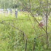 Зыкова Ольга Моисеевна
