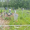 Мережко Анастасия Пименовна