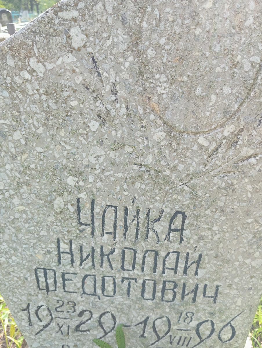 351e66da-352c-4f8f-b8c6-7e228c70d348 Чайка Николай Федотович