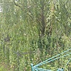 Гончар Виктор Иосифович