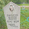 Дмитриенко Анатолий Иванович