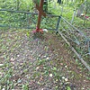 Аброськина Александра Филипповна