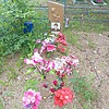 Солдатов Александр Петрович