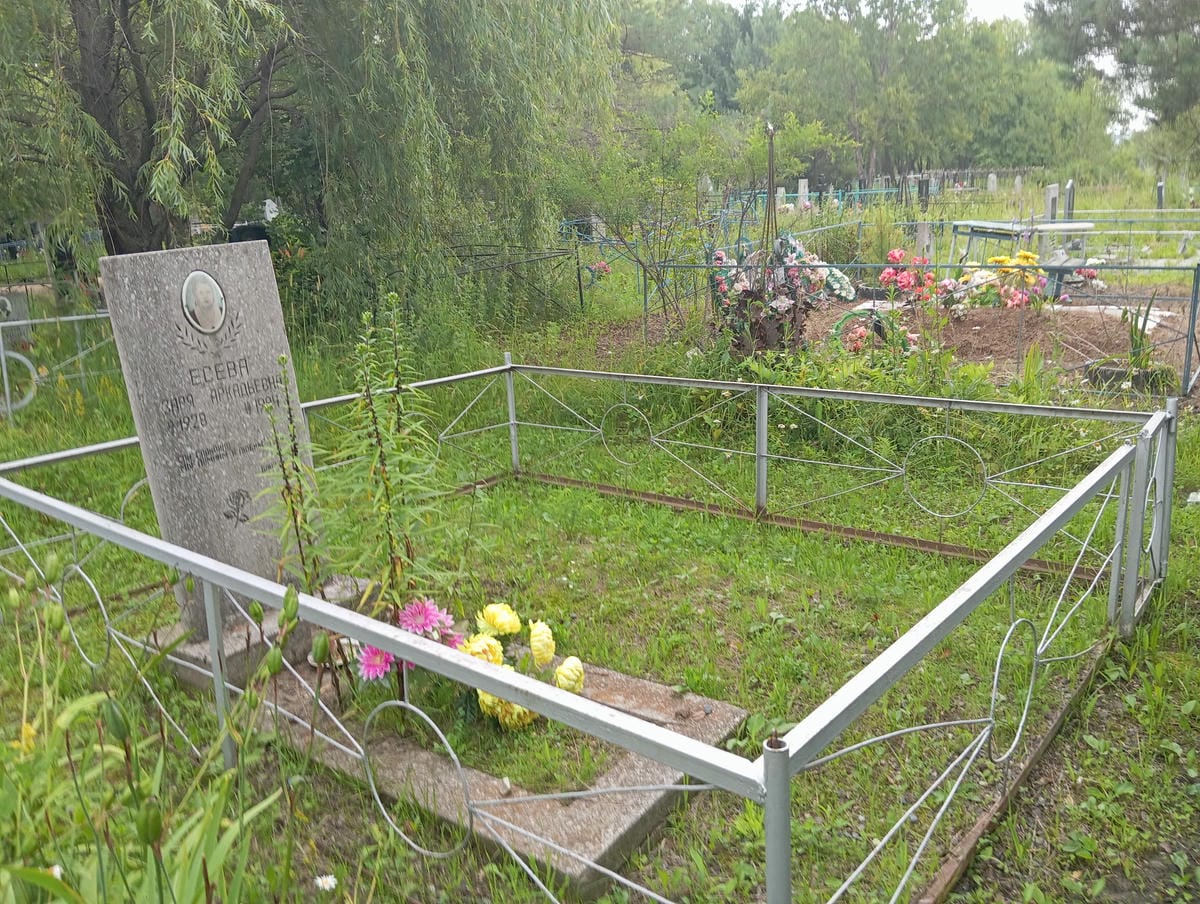 39a96105-0008-42e5-8cd7-e8a88822333a Есева Заря Аркадьевна