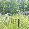 Запека Виктор Федорович