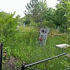 Савельев Игорь Алексеевич