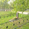 Лашков Петр Петрович