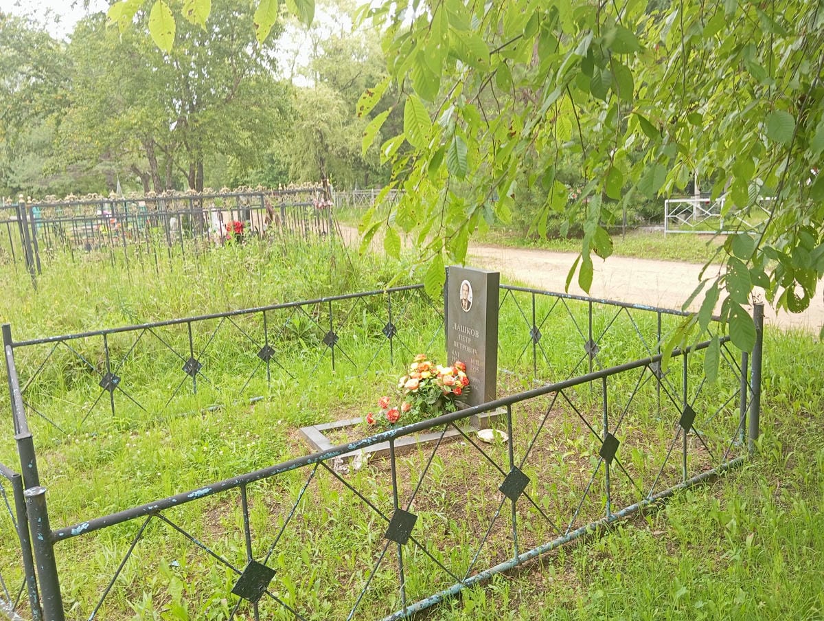 3e8b9936-f6ee-44bc-9b34-fb673c832998 Лашков Петр Петрович