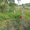 Тюрюханов Виктор Викторович