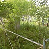 Неизвестно Неизвестно Неизвестно