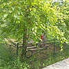 Головин Василий Иванович