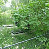 Поморцева Юлия Егоровна